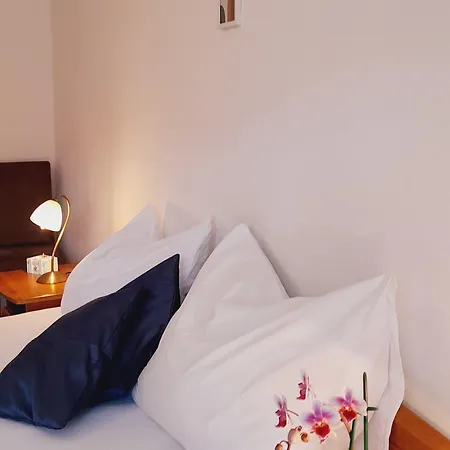 Pansion Ivan & Ivana Guest house 3*
