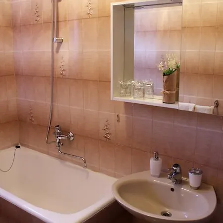 Pansion Ivan & Ivana Pensionat 3*